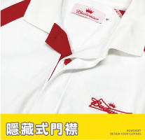 隱藏式門襟